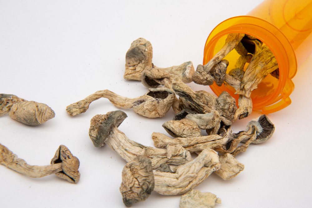Psilocybin and magic mushrooms