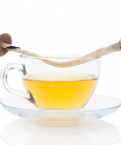 Shroom Tea